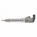 BOSCH 0445110193  injector